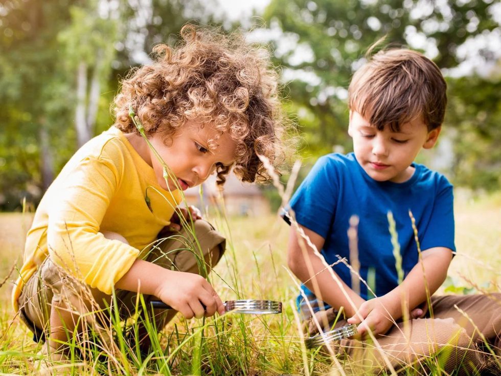 Aprende inglés con hormigas: vocabulario en inglés sobre insectos, naturaleza y características de las hormigas.
